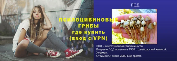 эйфоретик Вязьма